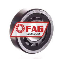 FAG NJ203E-TVP2