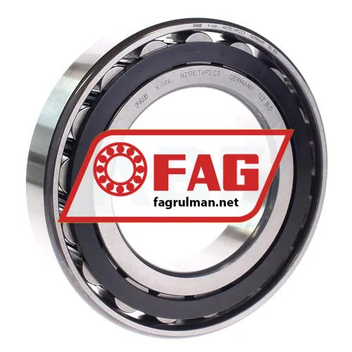 FAG N217E-TVP2-C3