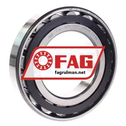 FAG N217E-TVP2-C3