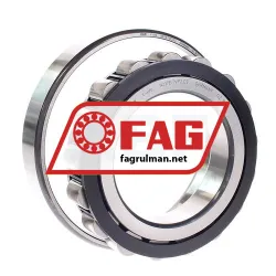 FAG N217E-TVP2-C3 rulman resim 2