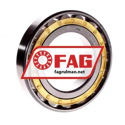 FAG N217E-M1-C3