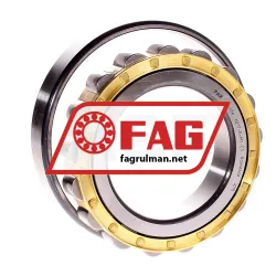 FAG N217E-M1-C3 rulman resim 2