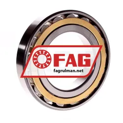 FAG N217E-M1-C3 rulman resim 3