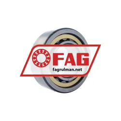 FAG WJ120X240-M1 rulman resim 2