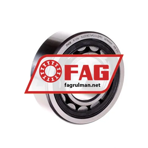 FAG NJ2311-E-TVP2-QP51-C4