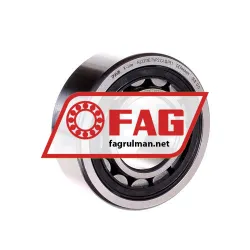 FAG NJ2311-E-TVP2-QP51-C4