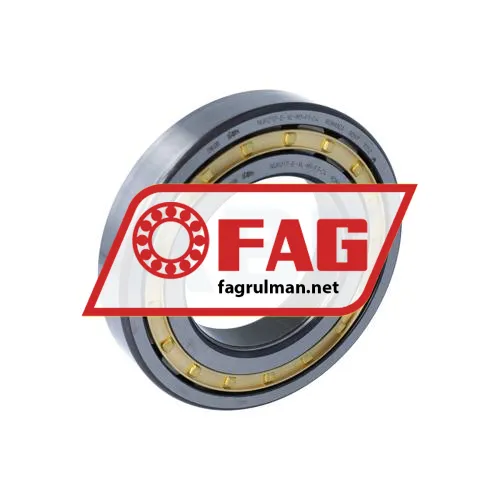 FAG NUP217-E-XL-M1-F1-C4
