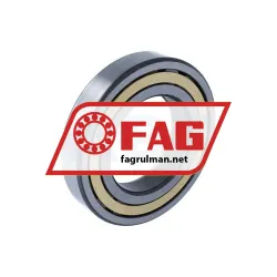 FAG NUP217-E-XL-M1-F1-C4 rulman resim 2