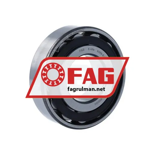 FAG N309-E-XL-TVP2>A