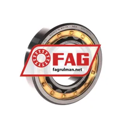 FAG NJ208-E-XL-M1A-C4