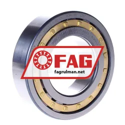 FAG NUP2213-E-M1-C3