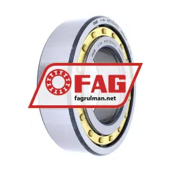 FAG NUP2213-E-M1-C3 rulman resim 2
