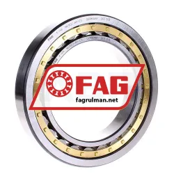 FAG NU1022-M1-C3