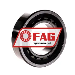 FAG NJ2210-E-TVP2-C3