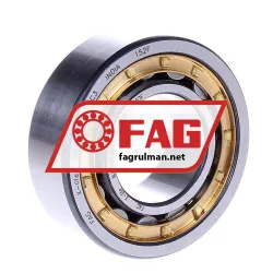 FAG NJ2206-E-M1A-C3