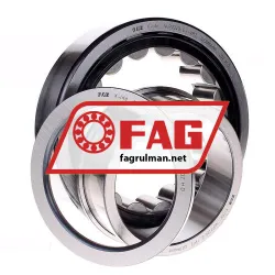 FAG NUP2220-E-TVP2 rulman resim 2
