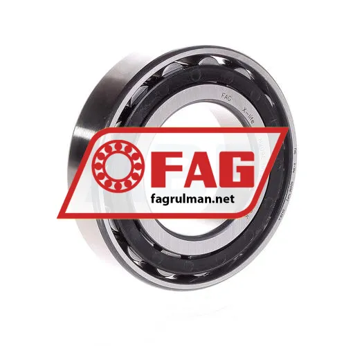 FAG N209-E-TVP2