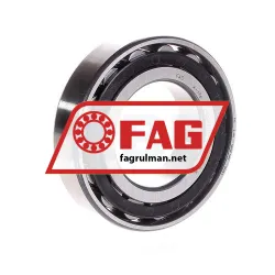 FAG N209-E-TVP2