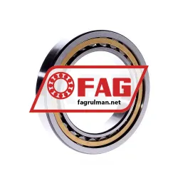 FAG NU1015-M1 rulman resim 3