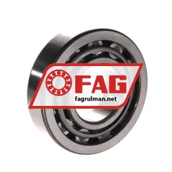 FAG NU309