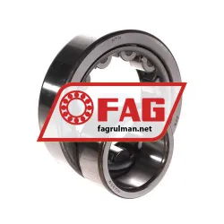 FAG NU309 rulman resim 2