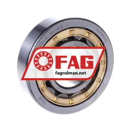 FAG NU306E-M1-C3
