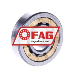 FAG NJ305E-M1-C3