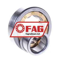FAG NJ305E-M1-C3 rulman resim 2