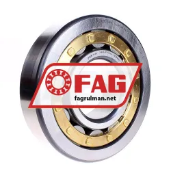 FAG NJ418-M1-P6-C4