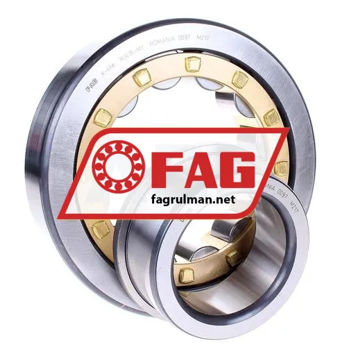 FAG NJ415-M1
