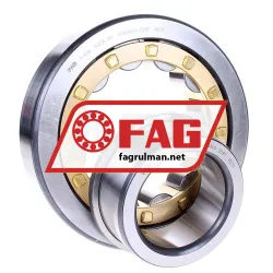 FAG NJ415-M1