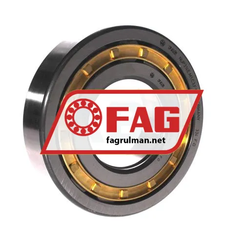 FAG NUP314-E-M1-F1-C3