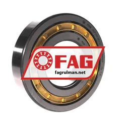FAG NUP314-E-M1-F1-C3