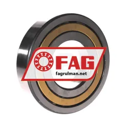 FAG NUP314-E-M1-F1-C3 rulman resim 2
