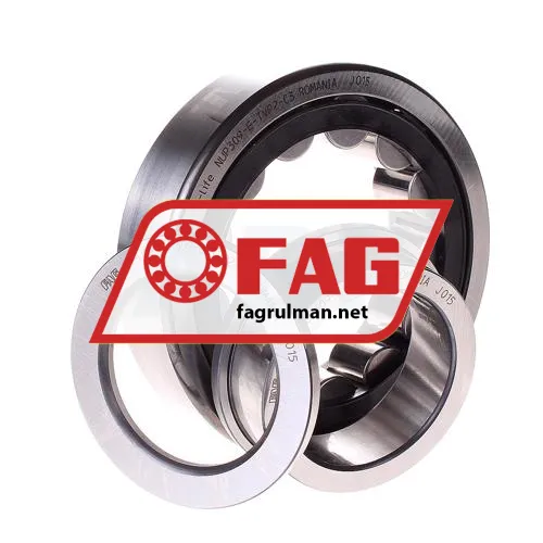 FAG NUP309-E-TVP2-C3 ürün fotoğrafı 2