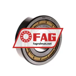 FAG NUP309-E-M1