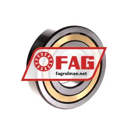 FAG NUP309-E-M1 rulman resim 2