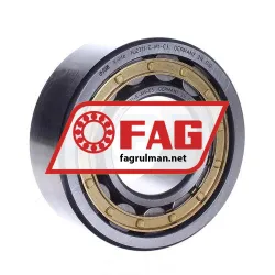 FAG NJ2311-E-M1-C3
