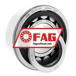 FAG NUP2311E-TVP2