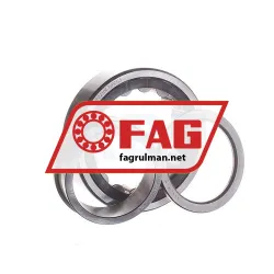 FAG NUP2210E-TVP2-C3