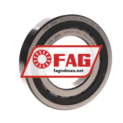 FAG NUP213E-TVP2