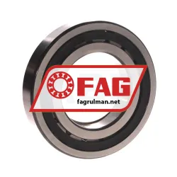 FAG NUP213E-TVP2 rulman resim 2
