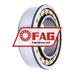FAG NU2215E-M1-C3