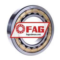 FAG NJ222E-M1-C3