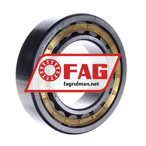 FAG NJ2218E-M1-C3