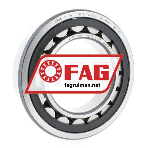 FAG NJ219E-TVP2-C3