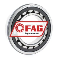 FAG NJ219E-TVP2-C3