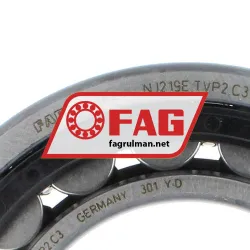 FAG NJ219E-TVP2-C3 rulman resim 4