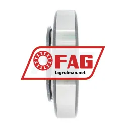 FAG NJ219E-TVP2-C3 rulman resim 5