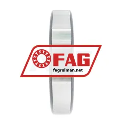FAG NJ219E-TVP2-C3 rulman resim 6